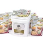 Long Term Gluten Free Food Storage: 60 Large Servings – 15 lbs Emergency Survival Meals – Disaster Insurance Supplies with 25 Year Shelf Life – Prepper